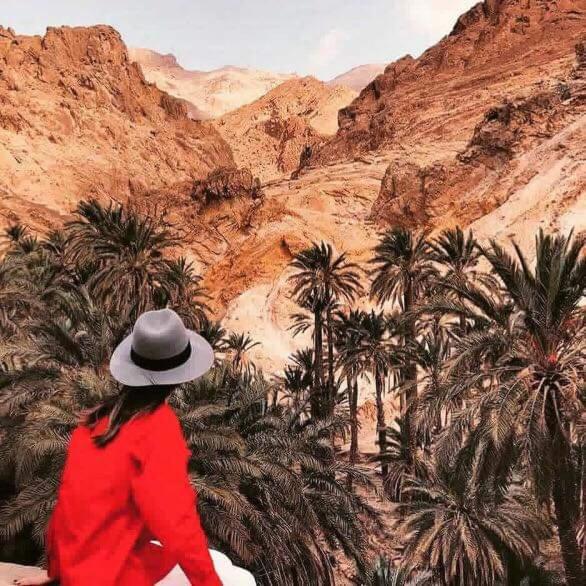 Villa Atlas Oasis *