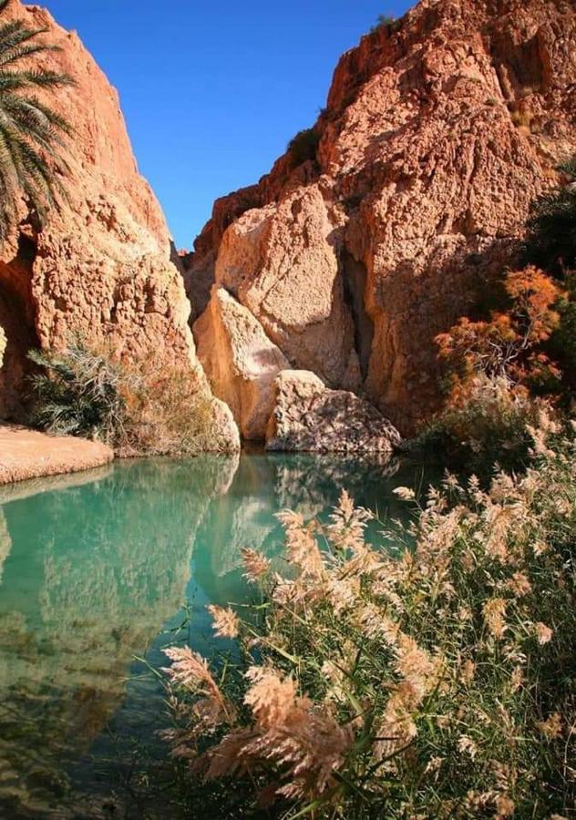 Atlas Oasis *