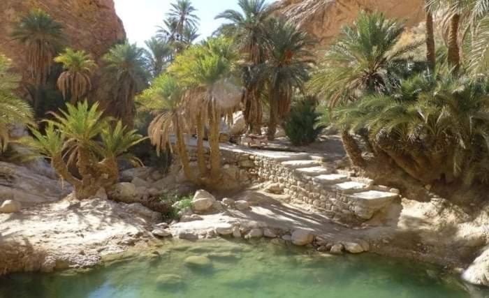 Atlas Oasis Shabikah