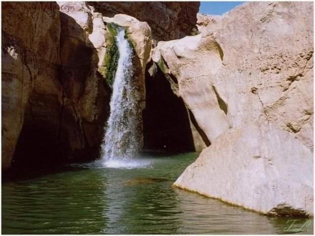 Atlas Oasis *