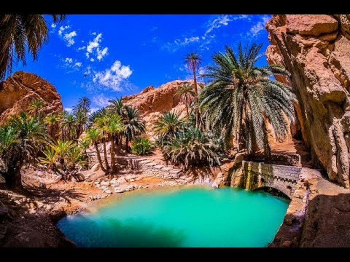 Villa Atlas Oasis